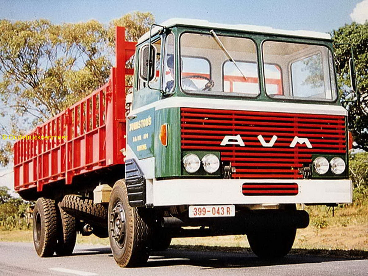AVM Truck