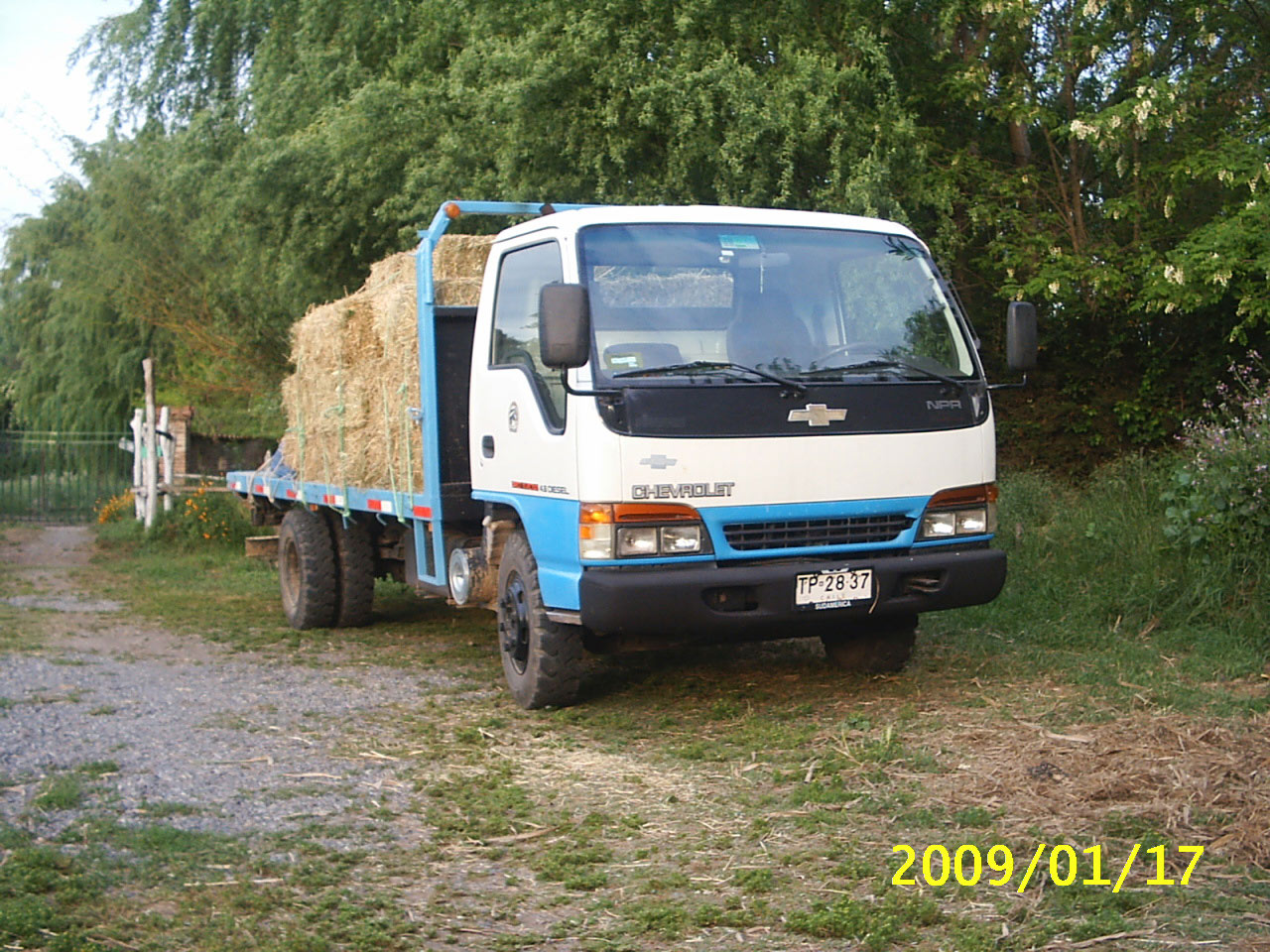 n-series-84_1